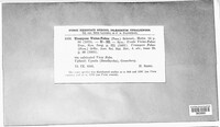 Image Associated With the Occurence